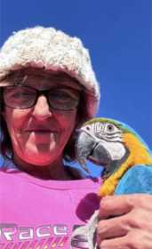 Lost Macaw