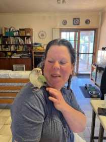 Lost Conure
