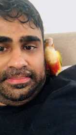 Lost Conure