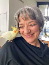 Lost Cockatiel