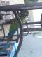 Macaw