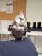Cockatiel