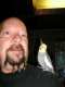 Cockatiel