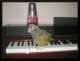 Pionus
