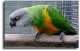 Senegal