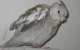 Cockatiel