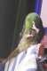 Macaw