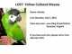 Macaw