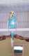 Budgerigar