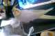 Cockatiel