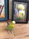 Parakeet