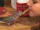 Australian Ringneck Parakeet