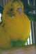 Parakeet