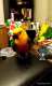 Conure