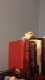 Budgerigar