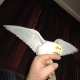 Cockatiel